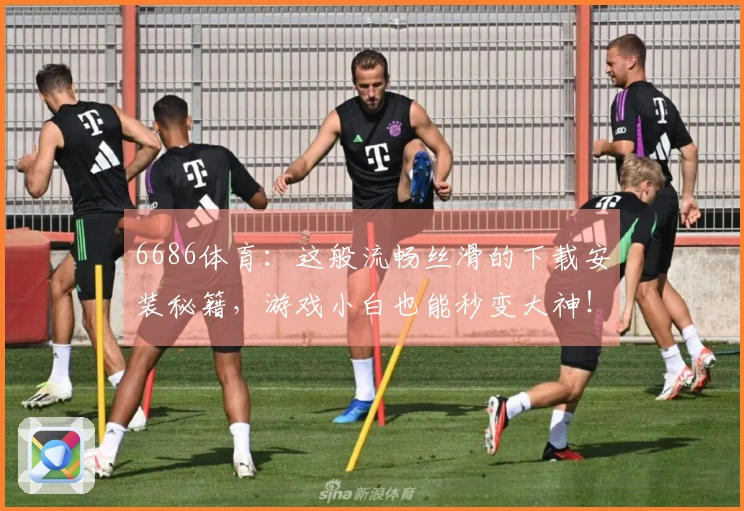 6686体育：这般流畅丝滑的下载安装秘籍，游戏小白也能秒变大神！