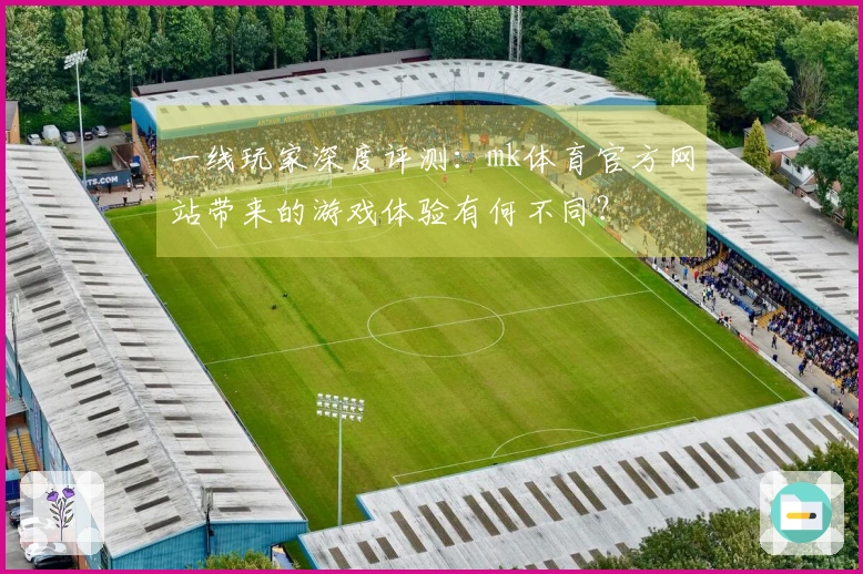 一线玩家深度评测：mk体育官方网站带来的游戏体验有何不同？